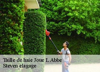 Taille de haie  joue-l-abbe-72380 Steven elagage