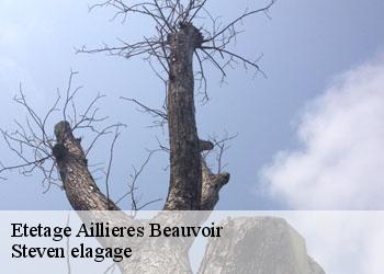 Etetage  aillieres-beauvoir-72600 Steven elagage
