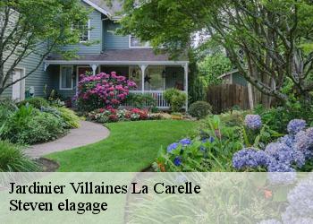 Jardinier villaines-la-carelle-72600 Steven elagage