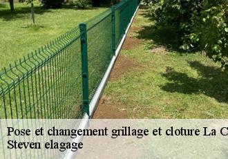 Pose et changement grillage et cloture  la-chapelle-saint-aubin-72650 Steven elagage