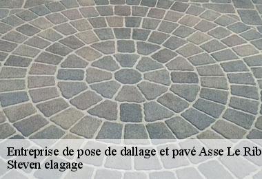 Entreprise de pose de dallage et pavé  asse-le-riboul-72170 Steven elagage