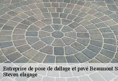 Entreprise de pose de dallage et pavé  beaumont-sur-deme-72340 Steven elagage