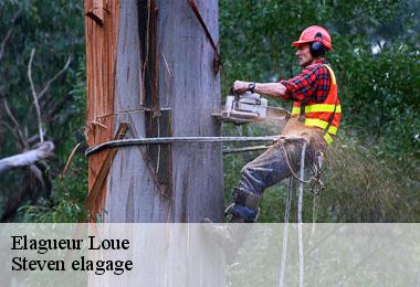 Elagueur  loue-72540 Steven elagage