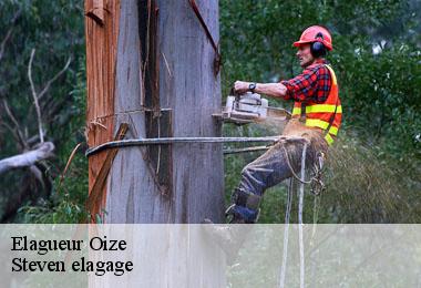 Elagueur  oize-72330 Steven elagage