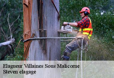 Elagueur  villaines-sous-malicorne-72270 Steven elagage